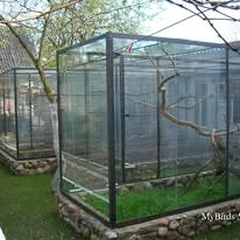 Safety cage example